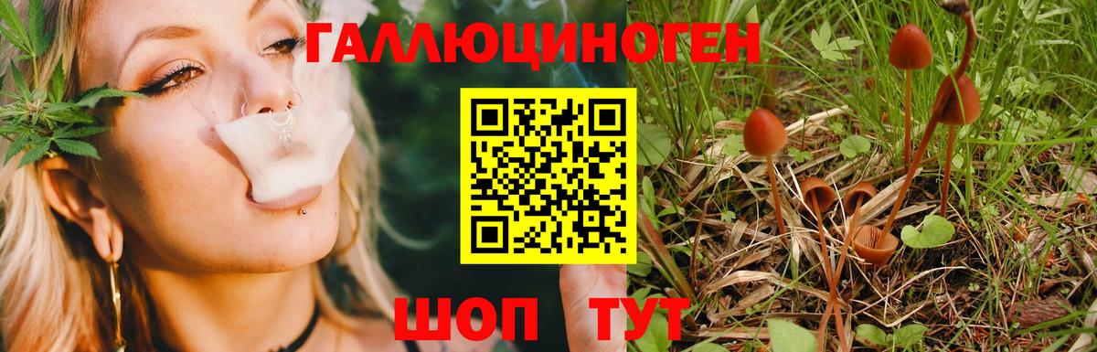 Галлюциногенные грибы Magic Shrooms Волжск